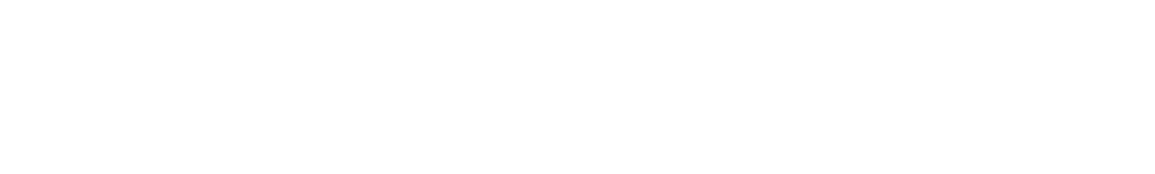 Doctor Demir Logo